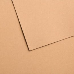Папір для пастелі Canson Mi-Teintes Velvet, №603 Золотистий (Golden beige), 430 г/м2, 50x65 см