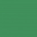 Бумага для дизайна  Folia Photo Mounting Board, 300 гр/м2, А4/ - #53 Moss green