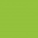 Бумага для дизайна  Folia Photo Mounting Board, 300 гр/м2, 50х70/ - #50 Spring green