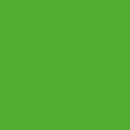 Бумага для дизайна  Folia Photo Mounting Board, 300 гр/м2, 50х70/ - #55 Grass green