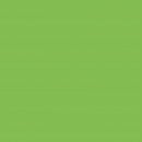 Бумага Folia Tinted Mounting Board 220г/м2, 50x70/ - #51 Light green