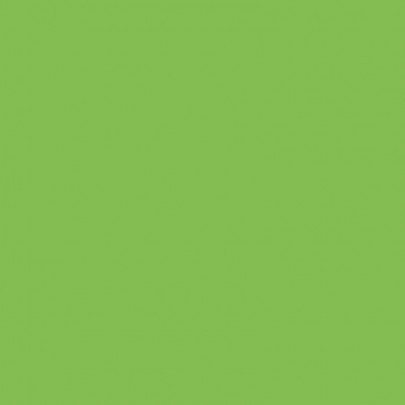 Бумага Folia Tinted Mounting Board 220г/м2, 50x70/ - #51 Light green