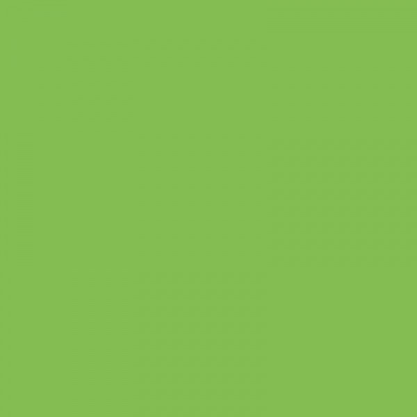 Папір Folia Tinted Mounting Board №51 Світло зелений (Light green), 50х70 см, 220 г/м2