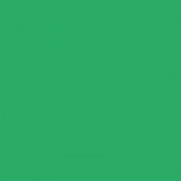 Бумага Folia Tinted Mounting Board №54 Изумрудно-зеленый (Emerald green), 50х70 см, 220 г/м2