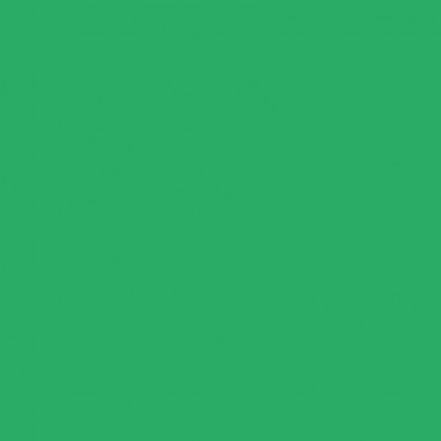 Бумага Folia Tinted Mounting Board 220г/м2, 50x70/ - #54 Emerald green