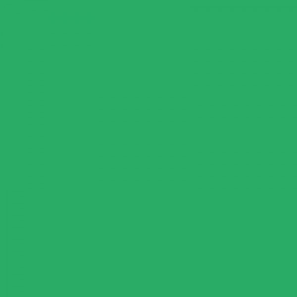 Папір Folia Tinted Mounting Board №54 Смарагдово-зелений (Emerald green), 50х70 см, 220 г/м2