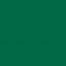 Бумага Folia Tinted Mounting Board 220г/м2, 50x70/ - #58 Fir green
