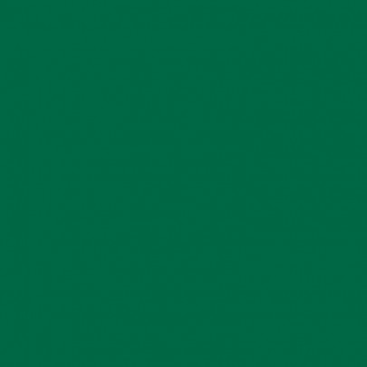 Бумага Folia Tinted Mounting Board 220г/м2, 50x70/ - #58 Fir green