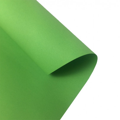 Бумага для дизайна Folia Tinted Paper 130 гр/м2, 50x70/ - #51 Light green