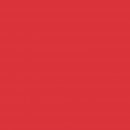 Бумага для дизайна  Folia Photo Mounting Board, 300 гр/м2, 70х100/ - #19 Hibiscus