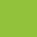 Бумага для дизайна  Folia Photo Mounting Board, 300 гр/м2, 70х100/ - #50 Light green