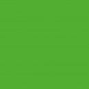 Бумага для дизайна  Folia Photo Mounting Board, 300 гр/м2, 70х100/ - #55 Grass green