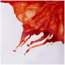 Тушь Winsor&Newton Drawing Inks, № 074 Сиена жжёная