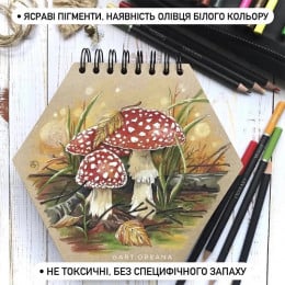 Набір кольорових олівців Art Planet “Хамелеон”, 72 кольори, нейлоновий пенал на застібці