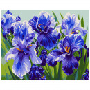 Картина по номерам "Голубые ирисы", 40*50 см, SANTI