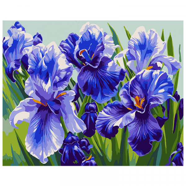 Картина по номерам "Голубые ирисы", 40*50 см, SANTI