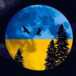 Картина по номерам "Под свободным небом", 40*40 см, Ideyka