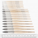 Пензель білка круглий №10, Ser. 5590 PETIT GRIS PUR, daVinci