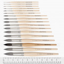 Пензель білка круглий №24, Ser. 5590 PETIT GRIS PUR, daVinci 