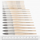 Пензель білка круглий №6, Ser. 5590 PETIT GRIS PUR, daVinci 