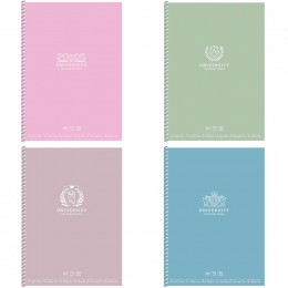 Блокнот на спирали Школярик серия №6509, 80 листов белого цвета в клеточку 70 г/м2 B5 17.6*25 см