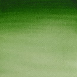 Акварельна фарба Winsor & Newton Cotman Half Pan, №314 Хукер світло-зелений