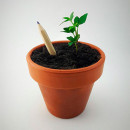 Карандаш Eco Stick, Brinjal/ - Шпинат