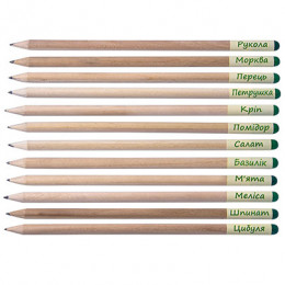 Олівець Eco Stick, Brinjal / - Базилік