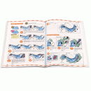 Книга для начинающих Copic Book Illustration Beginners