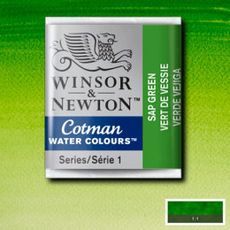Акварельна фарба Winsor & Newton Cotman Half Pan, №599 Сушена зелень