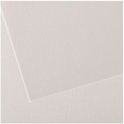 Бумага для масла и акрила Canson  Figueras 290 г/кв.м., 50x65 см