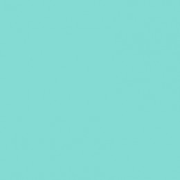 Чорнила для заправки маркерів Copic, Various Ink 25мл, BG-15