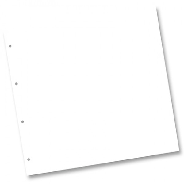 Картон для альбому 68200 Ring Binder dividers 300 гр, 31x32,5 см, №00 White (Білий) 1шт