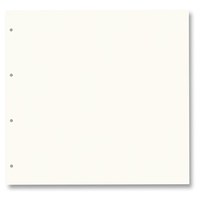 Картон для альбома  68210 Ring Binder dividers 300 гр, 31x32,5 см (15 шт), #01 Pearl white (Молоч. белый)