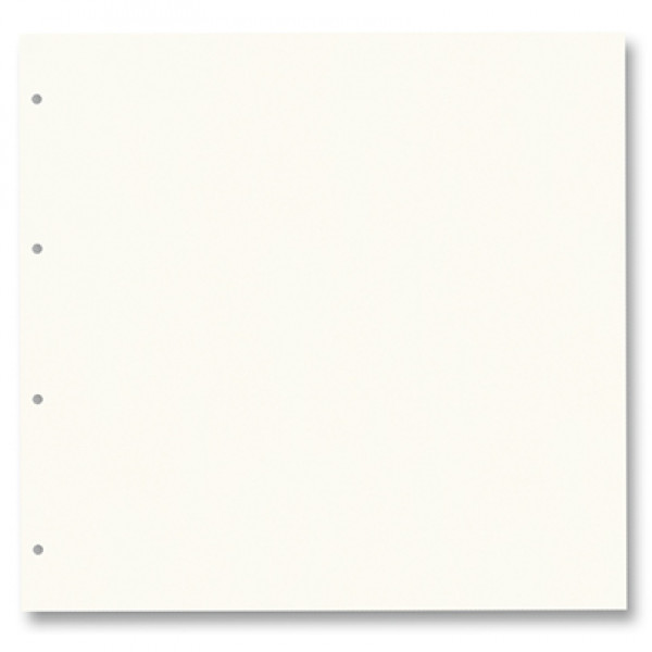 Картон для альбому 68210 Ring Binder dividers 300 гр, 31x32,5 см (15 шт), №01 Pearl white (Молоч. Білий)