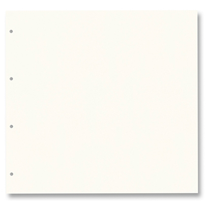 Картон для альбома Ring binder dividers 300 гр, 21,5x22,5 cм (20), #01 Pearl white (Молочный)