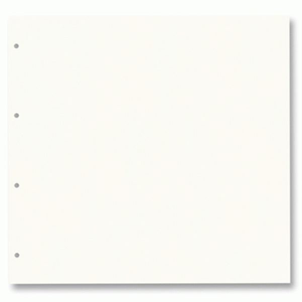 Картон для альбому Ring binder dividers 300 гр, 21,5x22,5 cм (20), №01 Pearl white (Молочний)