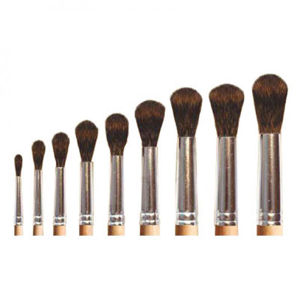 Білка кругла соснова, Masterkisti