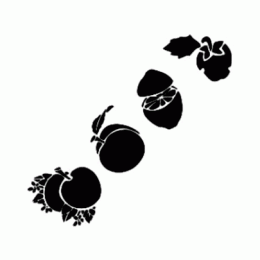 Трафарет бордюрний Cadence, KI-16