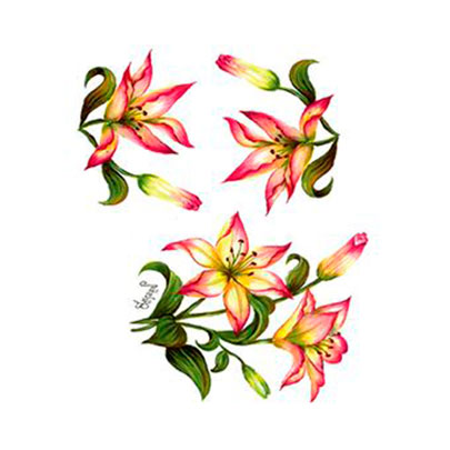 Трансфер универсальный Cadence Gulsun Ulku Series Transfe 25х35, G-62