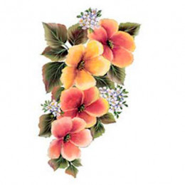 Трансфер універсальний Cadence Gulsun Ulku Series Transfer 17х25, G-165