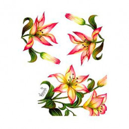 Трансфер универсальный Cadence Gulsun Ulku Series Transfer 17х25, G-40