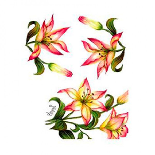 Трансфер універсальний Cadence Gulsun Ulku Series Transfer 17х25, G-40