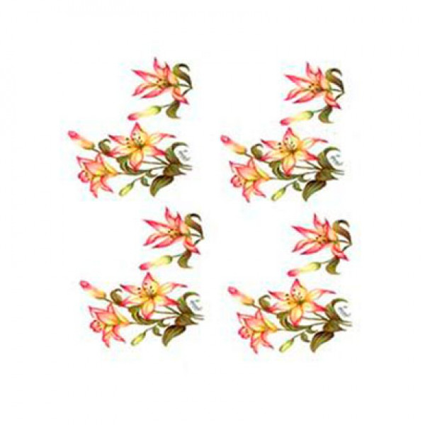 Трансфер універсальний Cadence Gulsun Ulku Series Transfer 17х25, G-46